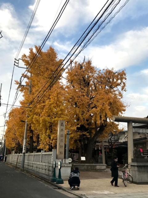 Sky Tree Apartamento Tokio