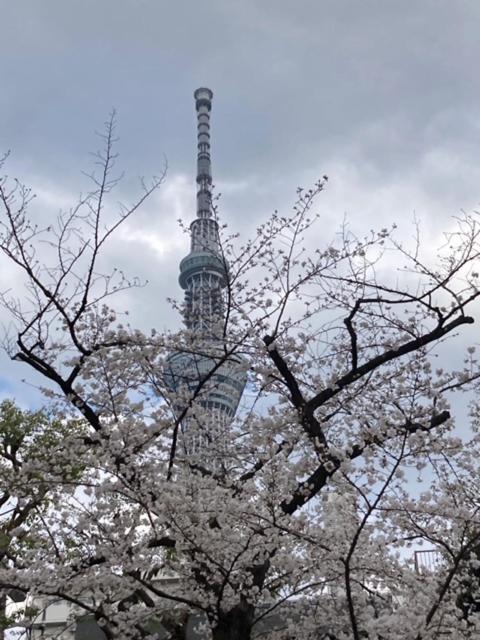 Sky Tree * Tokio